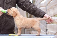 32409e6f4f73e0a45e705f9cac79d2d1_195x130_fill