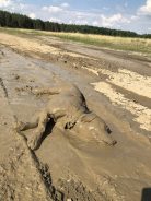 32537c0c8d8f3fdf1a8f2eb96b77539e_138x184_fill