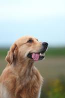 32dd6ef675678c8f32e6b637da69b68b_130x195_fill