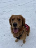 32e13a89a60468f14ca5ece01ae81093_138x184_fill