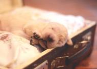 32eaa83046d58fd3959e24c68923c766_190