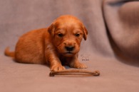 331d028ffa180916af9ba600c4f7c618_195x130_fill