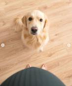 338763a0b7455ffea7dadf41afdc9da7_146x175