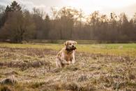 347c4d4f04a116416ce9b5188a43cd0e_195