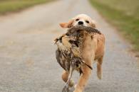 349a049cdf3dc454d0dbeb98903dc9f6_195x130_fill