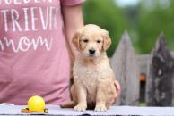 349b31a88ab68c1684ca83ac811dcf05_194