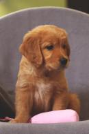 34a947646ce838716292800e08d64bf0_130x194