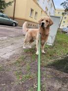 34c66c25224678f7263a47a6a76dc57a_138x184_fill