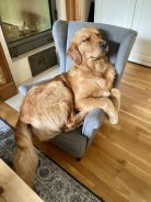 35138e9dbe6c9f0953570a9196aa540c_138x184_fill