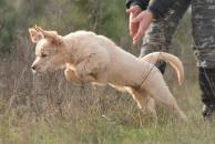 3591b47e6a8244a29ba5a931635b726e_194