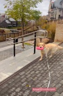 35fd0a8bd6cf44d19676b66d51bd02f1_128x197