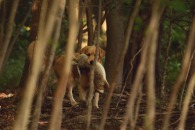 366ee3bf8709a9b55b6dc70b62268a34_195