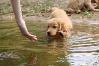 36ab5c81e691e91f1ae236c92ab5d204_194