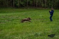 36c278a1d1a503ba86ceb868151621b0_194