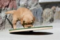 36e60288ebcf7f3253d8901666dae687_195