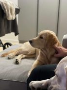 37066ddc7f7ea9876ddb62ddacf29b85_138x184_fill