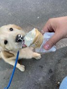 37195c7889000dbd107a207bfa2a5ec6_138x184_fill