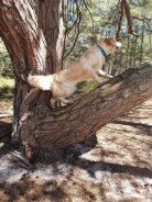 373c2b8d21ede1dedecbf0627c8beba9_138x184_fill