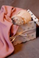 378214f49cd9ef68a2cc71f4bea2d33c_130x195_fill