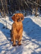 3783d542abdbce4f99c34146ace38495_138x183