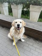 3785f89346c45cee379d7a292f497968_138x184_fill