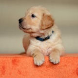 378b738af1b86d107723b397e49bb914_160x160_fill