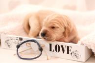 37e0fba43797bc37499a24c7d0c1db2e_194