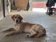 3824e5a250535f33022c38138df5a3ee_184