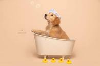 386f223763be6a72b688f35748c3b645_195x130_fill