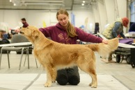 38c32b4c02ca0305f87bf5f4c48887ac_194