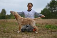 393227c13787cb128a822f7dcf3dddc1_195