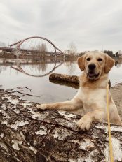 396998d7e6c7c5cce5a5d0fe3d4882fb_174x232_fill