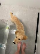 39aa9bc3edf7e6d84a5bb1b20636dc17_138x184_fill