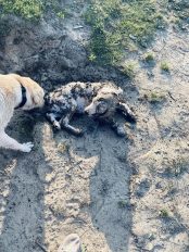 39bcfbe0afa5d41707c4bc1ddec9cb9c_174x232_fill