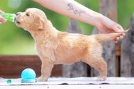 39ea1e2230891fe12c663fdefc1978e3_195x130_fill