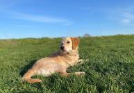 3a12616ad49291c35c0a2b8d64be1496_193