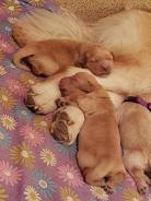 3a349434ff5de9e53967b996c526a2b6_138x184_fill