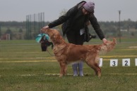 3a6959e8e068a606abc5a834201c53e8_194