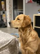 3ac133e2fbe206d6b2f565ce7052acfa_138x184_fill