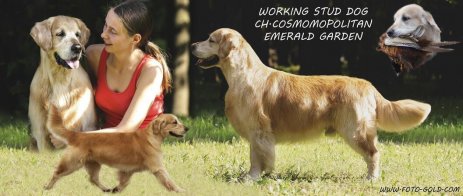 3afcf8e522c5f3c2b227e17c4789f67a_463