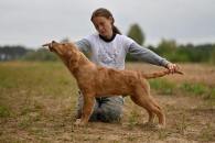 3b206adda9ed363cb4538486239db531_195