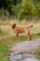 3b6c41f5d1696f34d4fe1746448c30c4_130x195