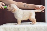 3bc2da1af5abb1b63d711d614c7cdfe8_195