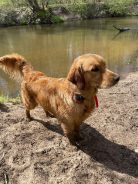 3bcd311356ba7344b89fbd96bc218a6c_138x184_fill