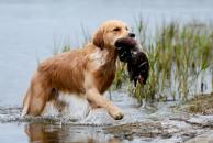 3be181ca5f063901b9d1ba46c1f261c8_194