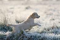 3caa430824f3fff7eb8fdfa27526b261_195