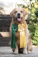 3cd0adb1d9cb60306a75bd6c885b017e_130x194