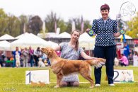 3cd889765716d874ded1b2fe4235ab41_195