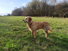 3d377e842daffe1656aad78b3845e65c_231