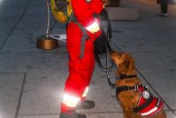 3ddc024904086c3828d695ce93c2b983_194